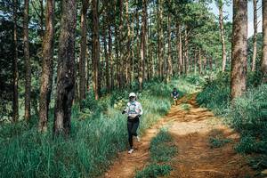 BIB: 
                            <button type="button" onclick="openModal(25743314)" class="btn btn-primary btn-sm float-right btn-popup" data-toggle="modal" data-target=".modal-high-quality">
                        <i class="fas fa-shopping-cart"></i> Add to Cart
                    </button>
                                            <button type="button" onclick="isThisMe(25743314, true)" class="btn btn-success btn-sm float-right btn-popup btn-isme hidden" data-toggle="tooltip" data-placement="bottom" title="นี่คือรูปของคุณใช่ไหม คลิกที่นี่เพื่อเอาเข้าอัลบั้ม">
                        <i class="fas fa-plus"></i> Add to album
                    </button>
                    <button type="button" onclick="isThisMe(25743314, false)" class="btn btn-warning btn-sm float-right btn-popup btn-isnotme hidden">
                        <i class="fas fa-ban"></i> Remove from album
                    </button>